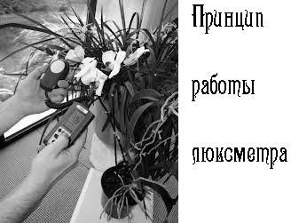 Оборудование для профессиональных фотостудий
