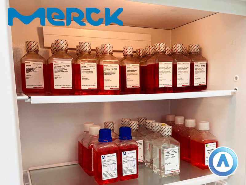 merck-03