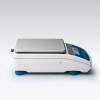 Radwag WLC 10/A2 прецизионные весы