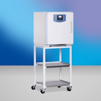 BMT Durocell 55 ECO line сушильный шкаф