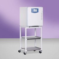BMT Venticell 55 EVO line сушильный шкаф