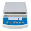 Radwag WLC 6/A2/1 прецизионные весы