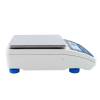 Radwag PS 8100.R2.M прецизионные весы