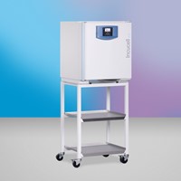 BMT Incucell 55 ECO line инкубатор с естественной циркуляцией