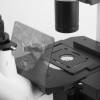 Микроскоп «Микромед И ЛЮМ» инвертированный люминесцентный