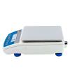 Radwag WLC 6/A2/1 прецизионные весы