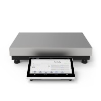Radwag CY10.120.C2.K прецизионные весы