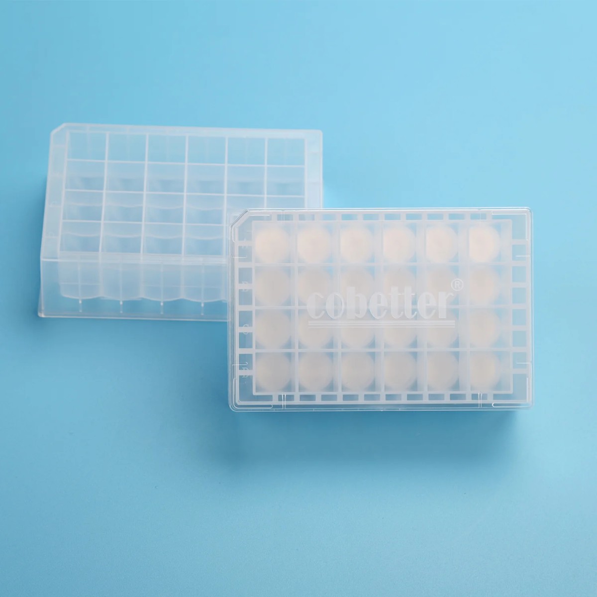 Cobetter Oro Prep PTFE 24-луночная фильтрующая пластина с порами 0,45 мкм