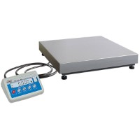 Radwag WLC 60/120/C2/K прецизионные весы