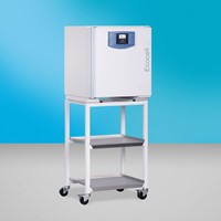 BMT Ecocell 55 ECO line сушильный шкаф