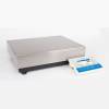 Radwag C32.60.PM.05 прецизионные весы