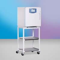 BMT Incucell 55 EVO line инкубатор с естественной циркуляцией
