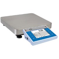 Radwag WLY 6/F1/R прецизионные весы