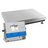 Radwag PL.1100.HRP.EX взрывозащищенная весовая платформа