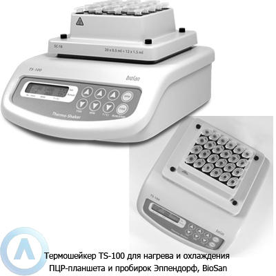 Biosan TS-100 лабораторный термошейкер