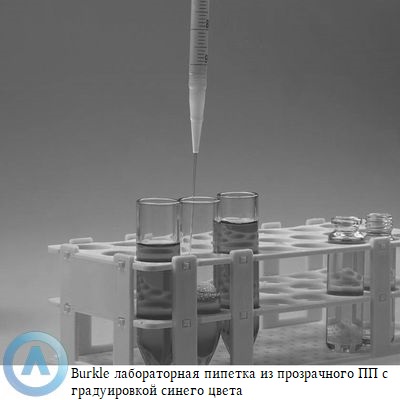 Burkle градуированная пипетка из прозрачного ПП