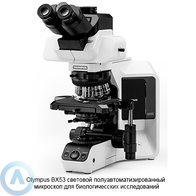 Olympus BX53 полуавтоматизированный оптический микроскоп
