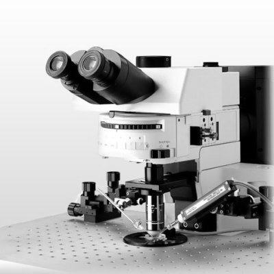 Olympus BX51WI микроскоп для нейрофизиологии