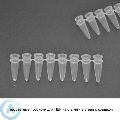 Бесцветные пробирки для ПЦР на 0,2 мл — 8 стрип с крышкой