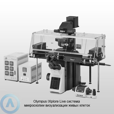 Olympus IXplore Live инвертированная система микроскопии