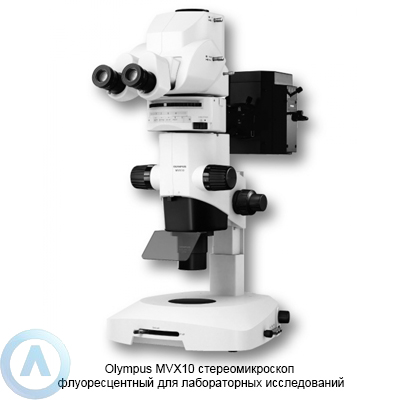 Olympus MVX10 стереоскопический микроскоп