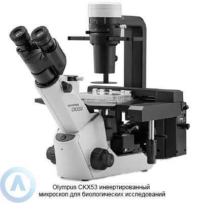 Olympus CKX53 инвертированный флуоресцентный микроскоп