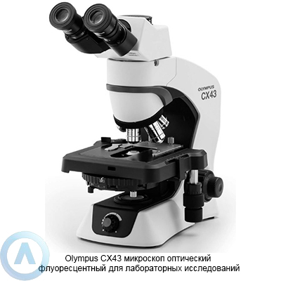 Olympus CX43 флуоресцентный оптический микроскоп