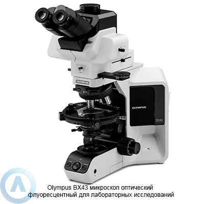 Olympus BX43 флуоресцентный оптический микроскоп
