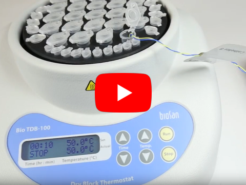 BioSan твердотельный термостат Bio TDB-100