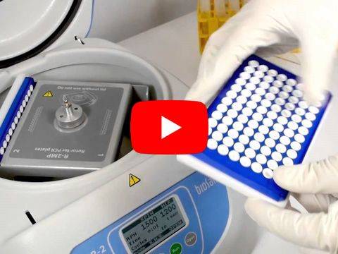 BioSan лабораторная центрифуга/вортекс CVP-2