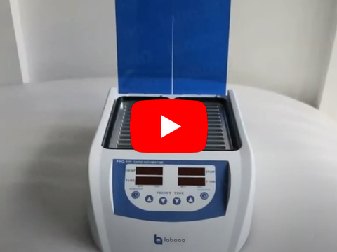 Инкубатор для гелевых карт Laboao FYQ-100